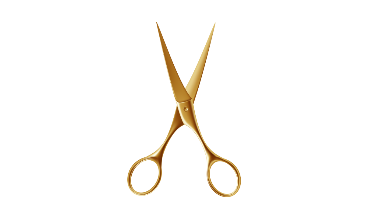 Scissors